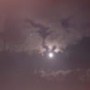 Meet your Posher, Wendy elizabeth